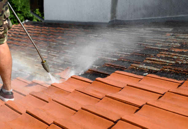 Pressure Washing Contractors in Homer Glen, IL