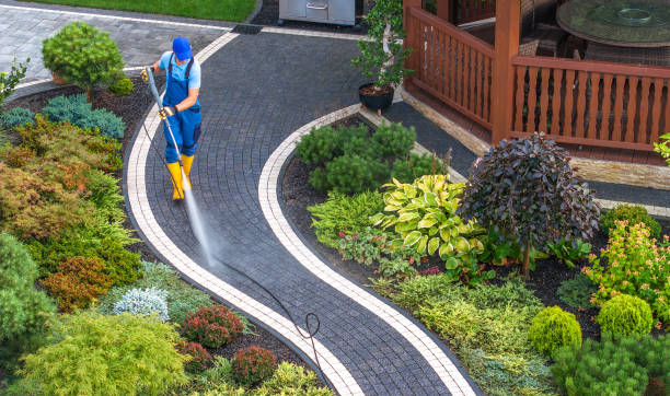 Best House Pressure Washing  in Homer Glen, IL